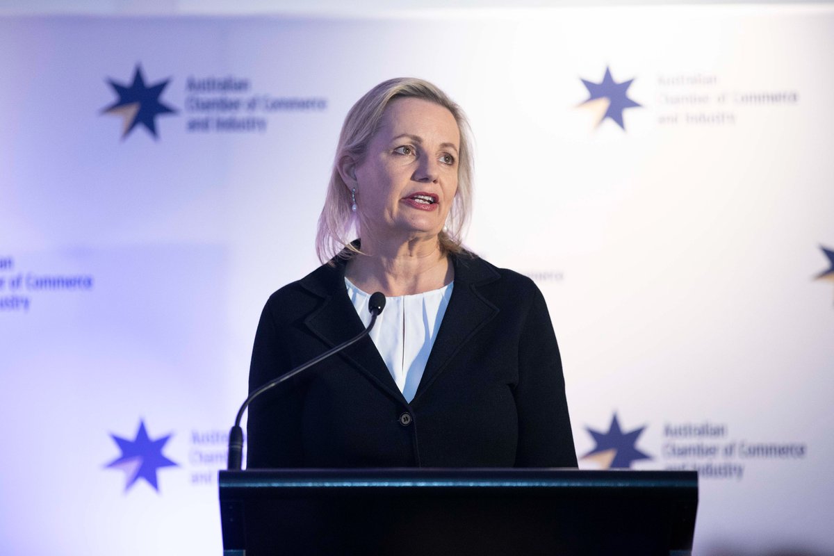 Australian Chamber of Commerce & Industry (ACCI) tweet media