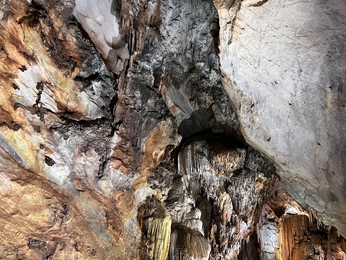 DakshKalra21's tweet photo. GM ❤️‍🔥

Introducing ROTTEN from the collection! 

Hidden: The caves of Vietnam is a collection of 11 1/1 Photographs by Daksh Kalra

Link in 🧵 sold on @opensea for .11 ETH

Shot on iPhone 13 Pro by @Apple 

#nft #rotten #nfts
#photography #nftphotography #OpenSeaNFT #opensea https://t.co/xo346CwjjZ