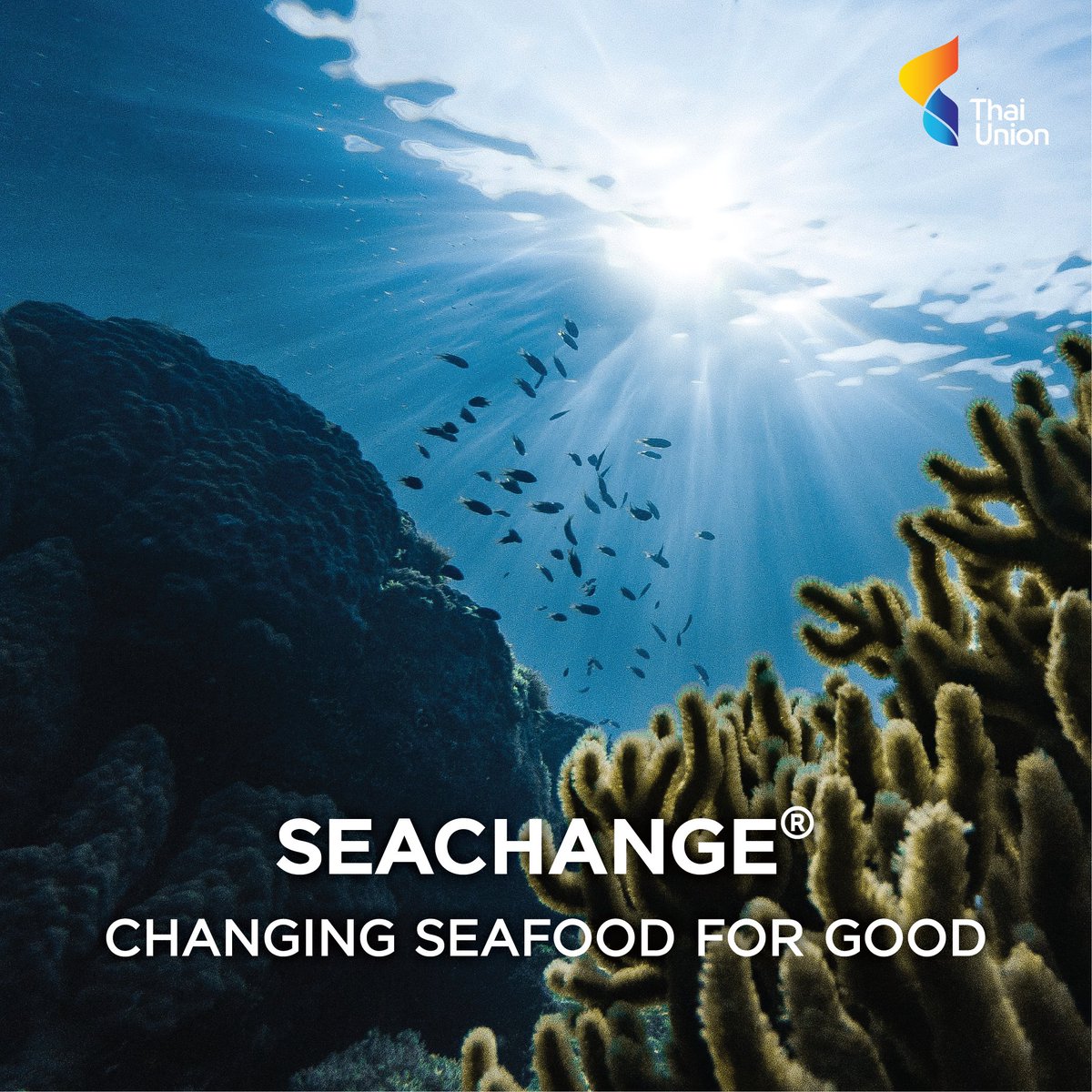 Thai Union's SeaChange® strategy transparently covers every aspect of the seafood business - from how we look after the oceans to how we manage our waste; from the responsibility we take for our workers to building brighter futures for communities.

seachangesustainability.org