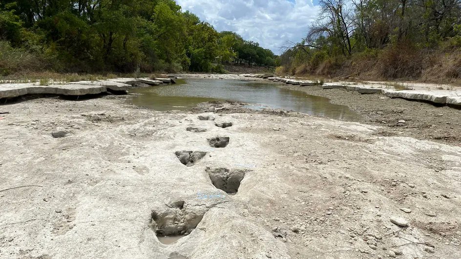 franceinfo's tweet photo. Etats-Unis : la sécheresse laisse apparaître des traces de dinosaures dans le lit d'une rivière texane

https://t.co/1Pjos1MTYN https://t.co/AQ7ymykEZ9
