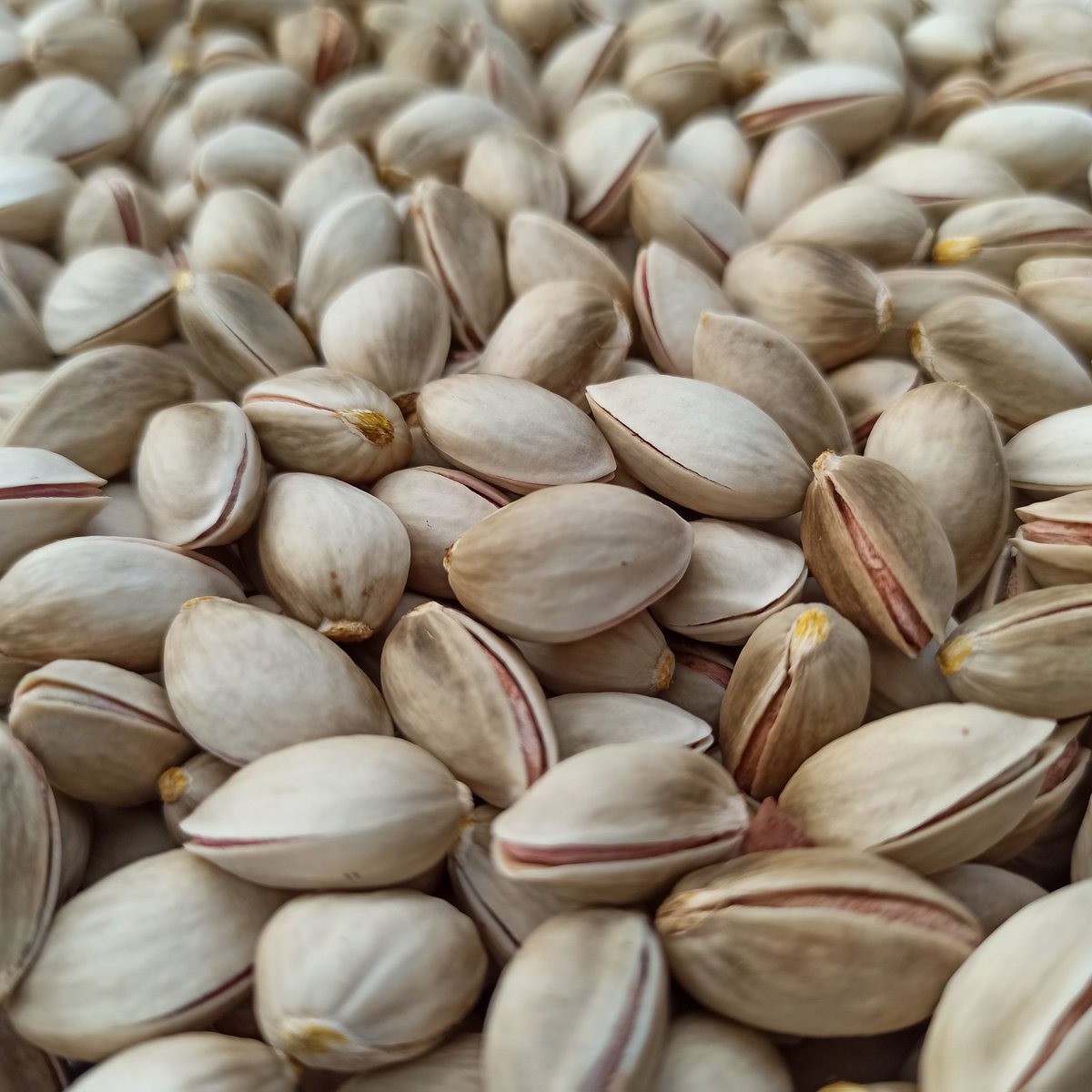RedEnveloops's tweet photo. We #Growth OUR OWN #Organic #NFTs for #InStore #NFTshops #BeeYourOwnBank -#Aegina #Pistachio P.D.O with the safety of @loopringorg wallet & #MINTING with athens.loopring.eth #Dynamic #NFTickets 100% #ZeroWaste #ESG © 2012 #Mint #Trees #Physical #NFT https://t.co/MxK0cqrf96