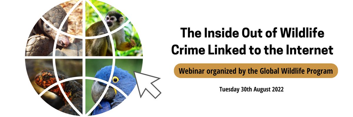 #FYI 🗓️ Global Wildlife Program (GWP) Webinar | The Inside Out of Wildlife Crime Linked to the Internet | 📅 Tuesday, 30th August 2022 8:00 – 9:30 am DC / 2:00 – 3:30 pm CET / 7:00 – 8:30 pm ICT. #EndWildlifeCrime #HealthyPlanetHealthyPeople