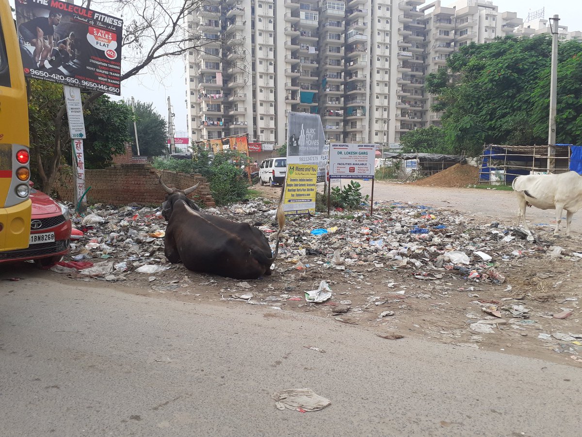 ashokkr76's tweet photo. @PMOIndia @narendramodi @DC_Faridabad @DistrictAdm_FBD
@cmohry @mlkhattar @rajeshnagarfbd @MCF_Faridabad @ndtv
स्मरण पत्र उनत्तीसवां
माननीय प्रधानमंत्री जी,
महीनों बाद भी संत मैरी स्कूल, सेक्टर 82, तिगांव रोड, फरीदाबाद  के बाहर कूड़े का अम्बार और गटर का पानी जस-के-तस?
#SaveGrFbd https://t.co/Lw5VyWh8dg