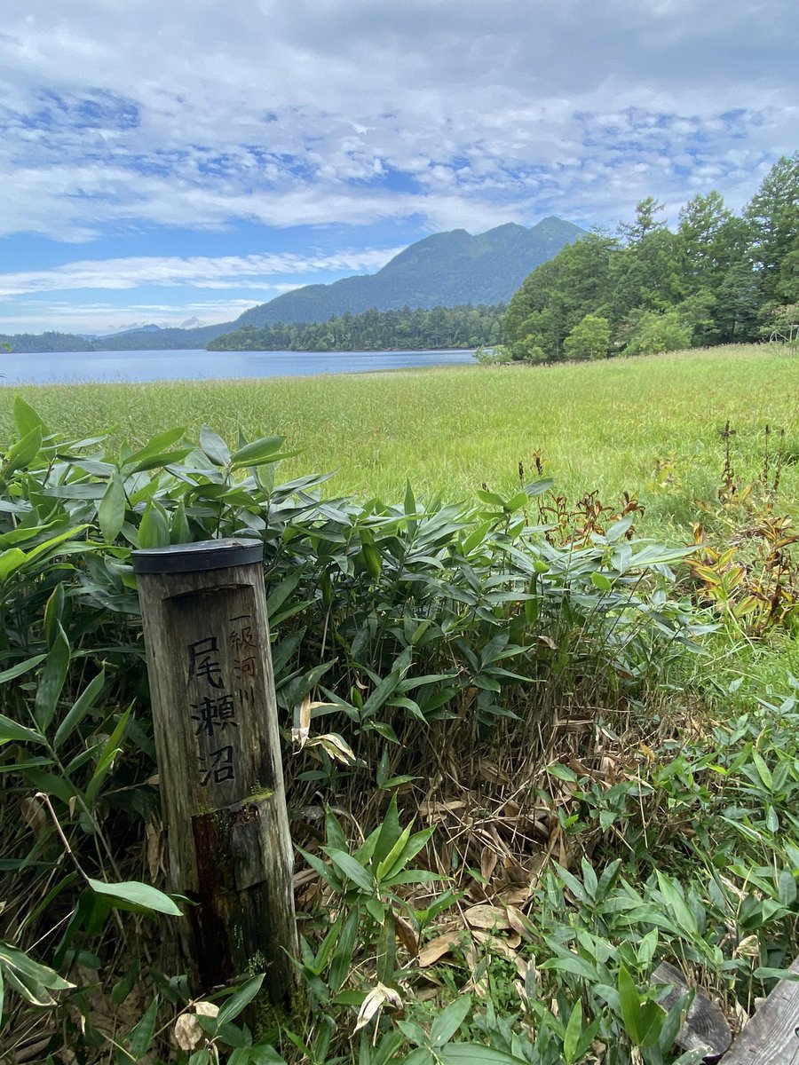 711Nimo's tweet photo. 久しぶりの尾瀬テント泊楽しかった
気温もちょうどいい感じで夜になると寒いぐらい
テント設営した後のビール🍺がめちゃくちゃ美味い❗️ https://t.co/sxoCG2vvDp