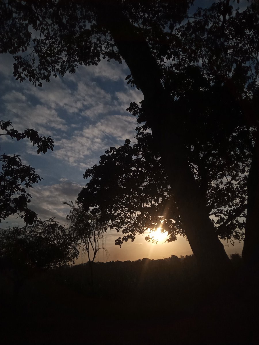 PraizKent's tweet photo. Sunsets for 2πme and my camera π
#CAMissionSn3
#CAMissionKE
#CAMONNLPChallenge https://t.co/XrGvCYzjCW
