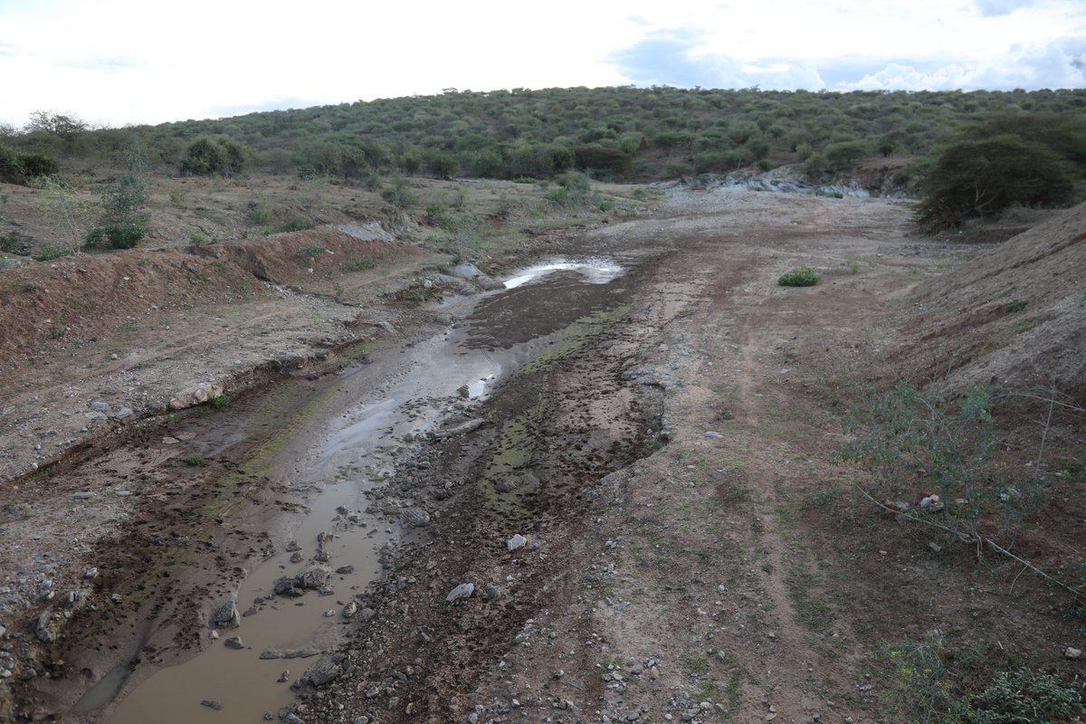 Amref Health Africa tweet media