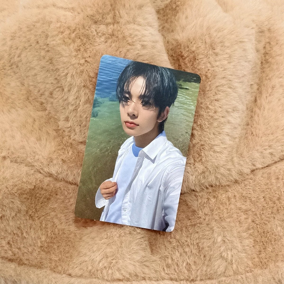 cialoves_'s tweet photo. AAAAA C'MON FORDA SWIM😩💗
@cartnijen thank you so much for trading with me! I hope the package arrives to you in good condition😊
#proofsnijen | #cialovestrades https://t.co/q0Vm9Id4qJ