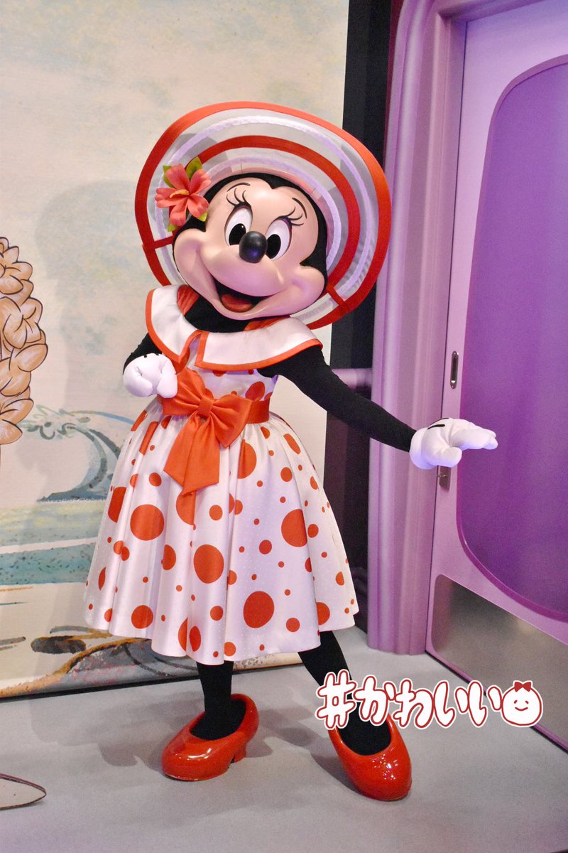_rina716_'s tweet photo. 最近はミニーマウスに生かされております https://t.co/sqGDyipVRm