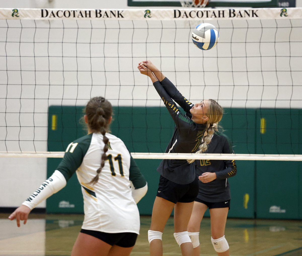 JDavis_ExPhotog's tweet photo. The @AberRoncalli @CavalierVolley1 fell to Northwestern to open the season Tuesday night. Here is a link to a gallery of images from the match https://t.co/cHZBXfuJlt Be sure to check https://t.co/3mPtSsur2F for a game story https://t.co/RtJ5EU85To