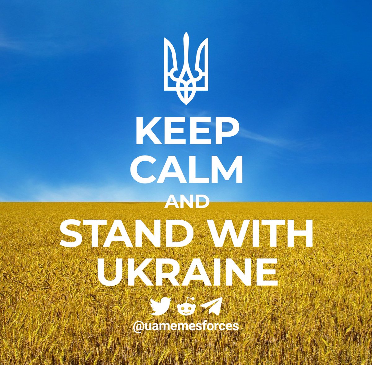 Happy Independence Day to Ukraine!