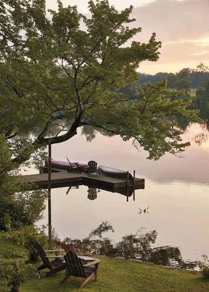 aestheticspost_'s tweet photo. silence. https://t.co/qdwSnOVxWE
