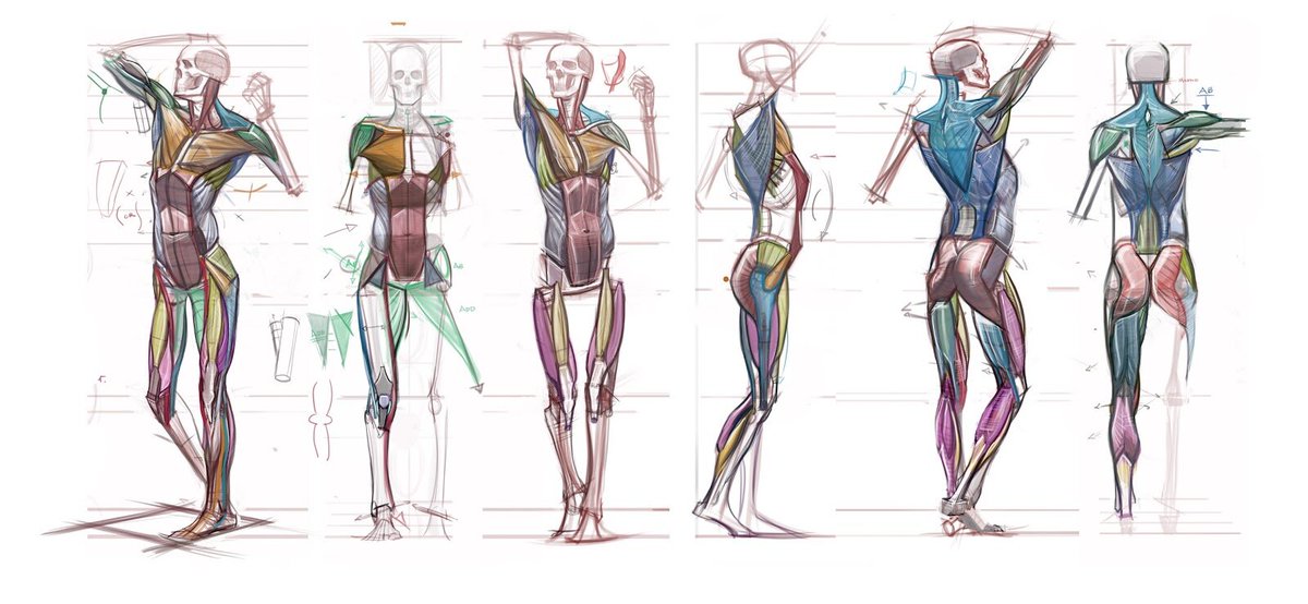 Hello everyone!
Great news--we have added another section to our Foundation FIG 1: Figure Drawing 1 course!!

Register today for our Tuesday 7-10PM PST section!
brainstormschool.com/fig1
#FigureDrawing #Anatomy