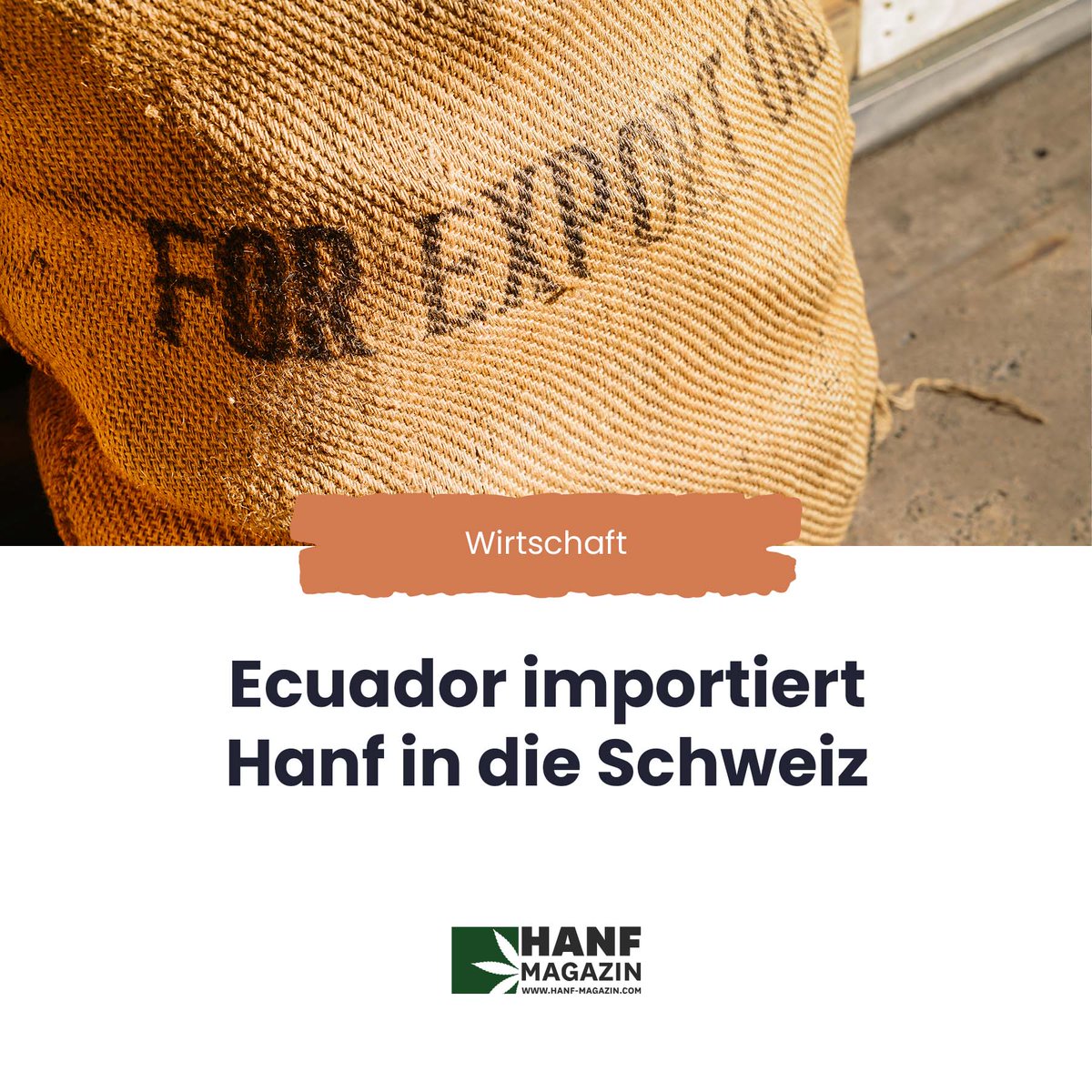 hanfmagazin's tweet photo. Nun hat zum ersten Mal ecuadorianisches Cannabis das Land verlassen und ist in der Schweiz angekommen. Dies könne man als Meilenstein für die nationale Hanfindustrie bezeichnen. 
➡️ https://t.co/sg5xDVEUB3

#hanfmagazin #hanfindustrie #hanfexporte #ecuador #schweiz #cannabis https://t.co/wF8qXYGDWT