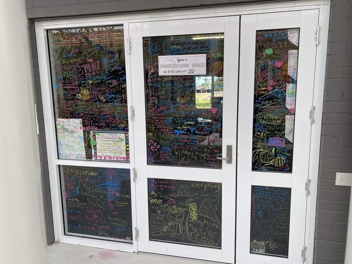 Eli_Crutto's tweet photo. It’s 🌟 Wellness Week 🌟 at OLOL this week! We have been writing all the things we are grateful for on our windows. These are our “Gratitude Walls.” #ololnoll @Blakey2308 @JosephineVivan1 @daniellewardro2 @LouiseBaldock1 @LianaMagri https://t.co/AgxZYUgOAx