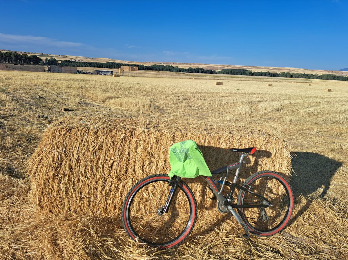 CEIPNEJAPA's tweet photo. #Nejapeando en bicicleta por los pueblos de #Segovia.
¡60 kilómetros! 👏👏👏
#camisetaviajera #Verano22 https://t.co/o8ewVk6Y2A