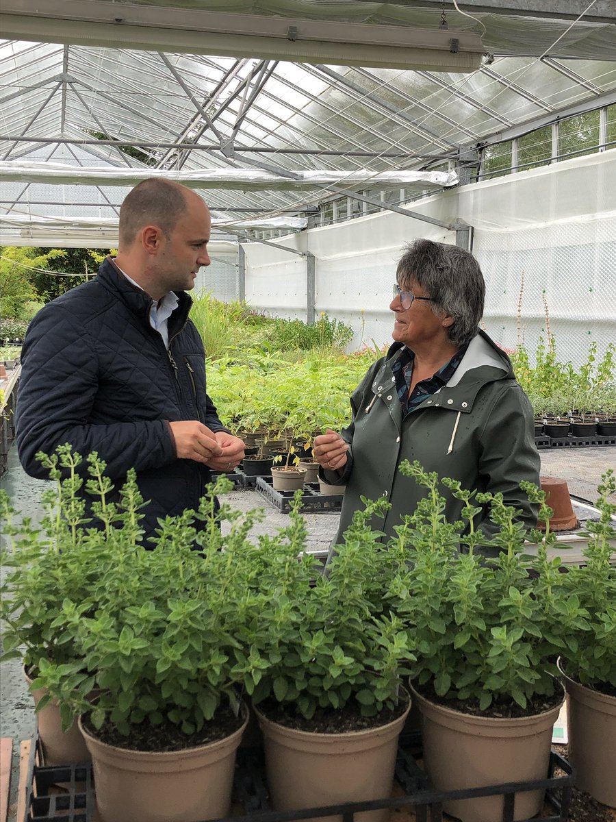 Great to be able to show <a href="/LukeHall/">Luke Hall</a> MP  around the herb farm and to be able to talk about our plans for the future.