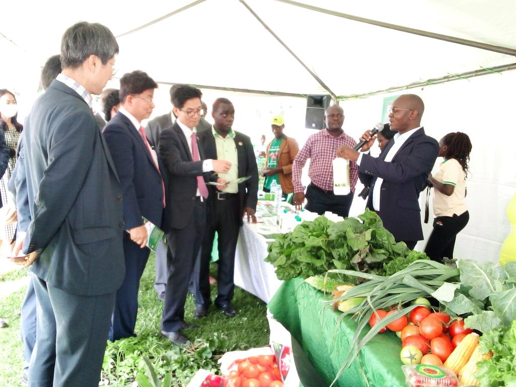 NARO_MUZARDI's tweet photo. Happening now: launch of the Vege seed project in partnership with KOICA #seedvaluechain #capacitybuilding for key stakeholders. @Director_NaCRRI @NARO_NaCRRI @BarbaraZawedde @FredBwino @MAAIF_Uganda @narouganda https://t.co/Dm0GSx8g4P