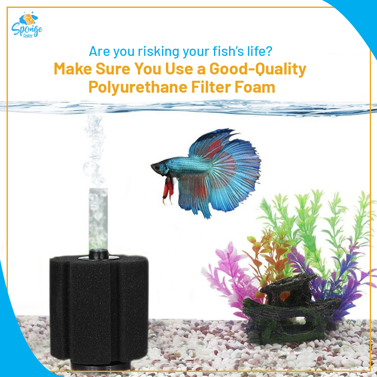 CenterSponge's tweet image. Don't risk your fish's life. Fish Lives Matter 
Shop sponges at spongecenter.com

#SpongeCenter #SpongeManufacturers #HighQualitySponges #CelluloseSponge #SpongeCenter #SpongeManufacturers #HighQualitySponges #CelluloseSponge #biodegradablesponges #BiodegradableSponges