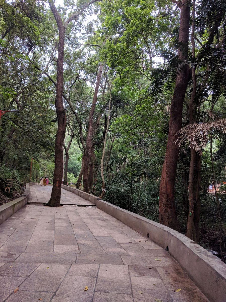 Lakshmisudha1's tweet photo. Old but Awesome.Walking up the Tirumala Hill and Having a darshan of Lord Balaji was always the Do thing. But this year was special with a visit to "Japali" in Tirumala. The energy Vibes are High and Must visit place. It has its own small trek. #TravelDiaries #OldTemples #Trek https://t.co/rfw7jtiRPF