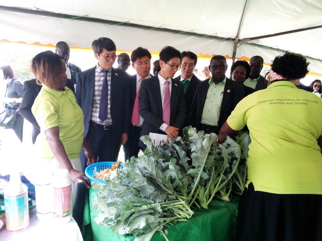 NARO_MUZARDI's tweet photo. Happening now: launch of the Vege seed project in partnership with KOICA #seedvaluechain #capacitybuilding for key stakeholders. @Director_NaCRRI @NARO_NaCRRI @BarbaraZawedde @FredBwino @MAAIF_Uganda @narouganda https://t.co/Dm0GSx8g4P