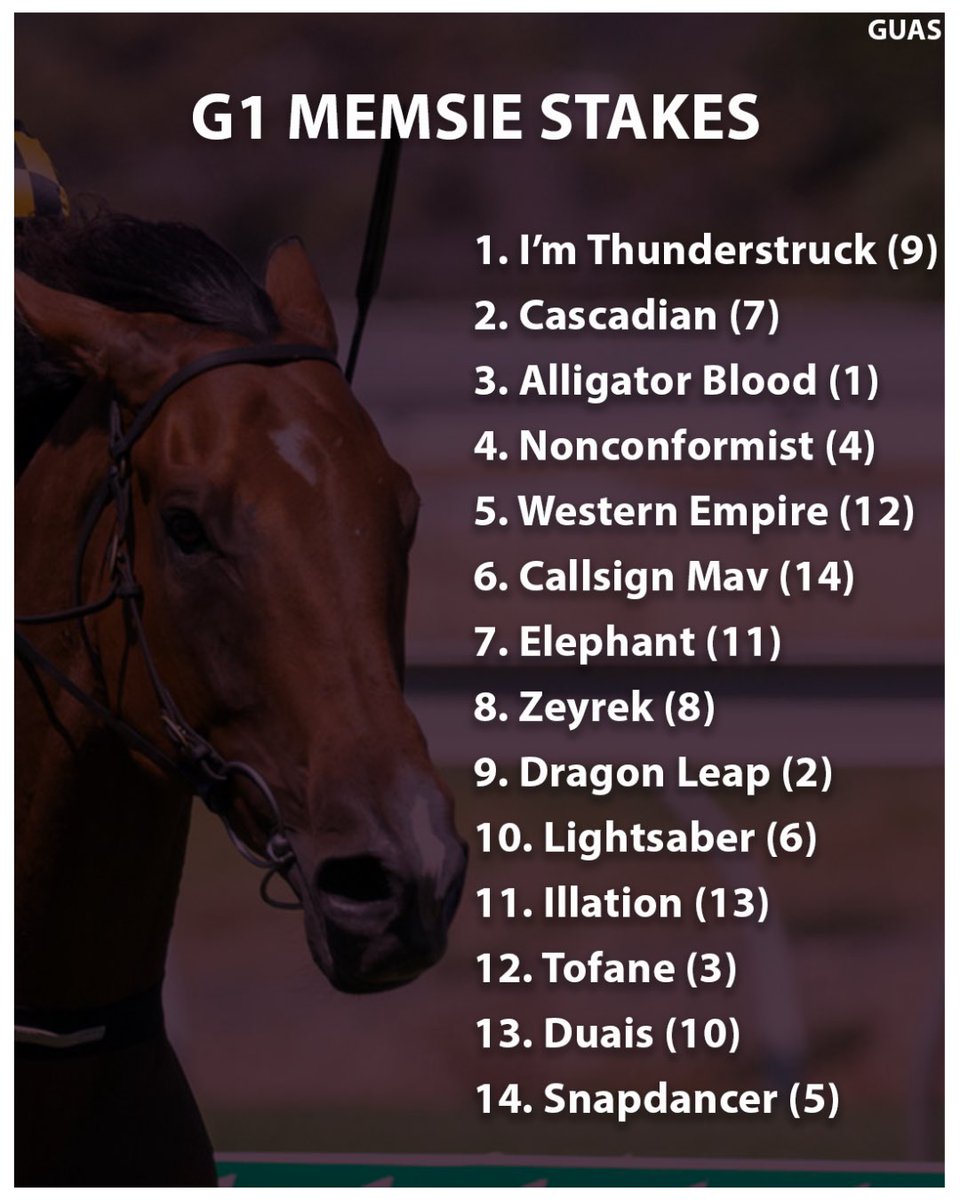 GiveUsASpellPod's tweet image. Who takes this bloody thing out🧐 
#Memsie