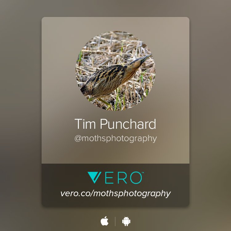 PunchardTim tweet picture