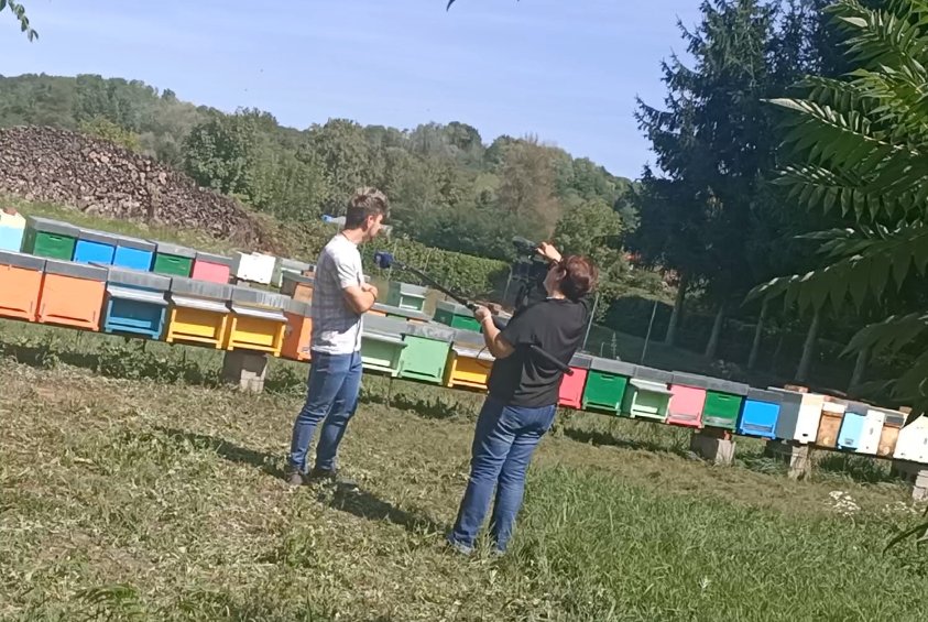 Marco Valsesia 🐝🍯 tweet media