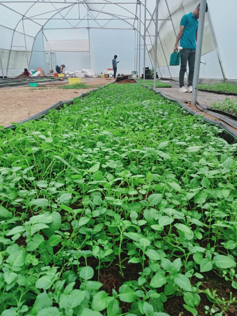 samarendu mohanty tweet media