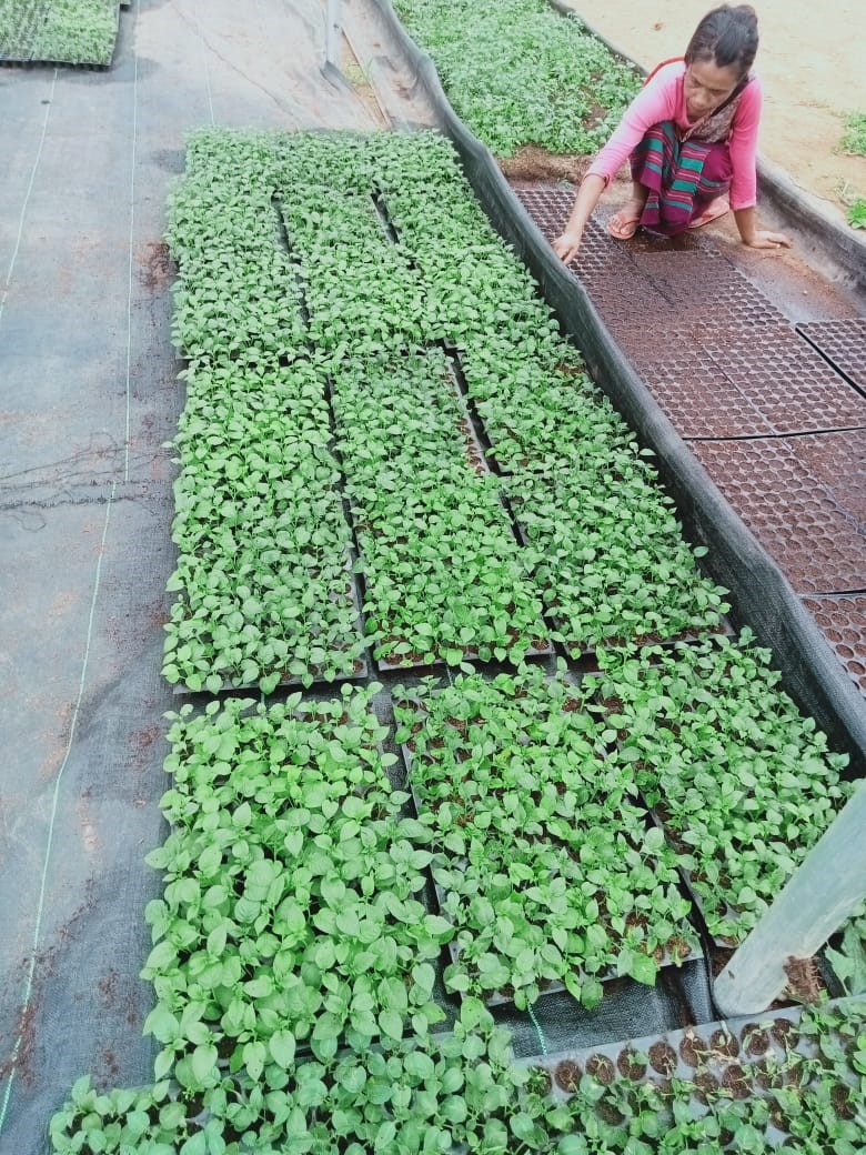 samarendu mohanty tweet media