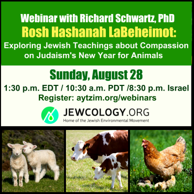 jewcology tweet picture