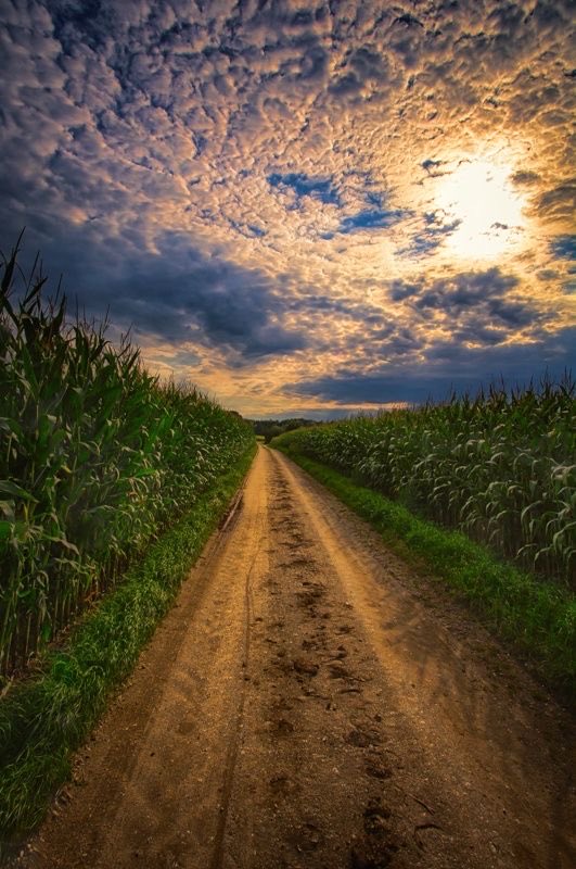 parameshhivrale's tweet photo. #nechar #viral #trening #beautiful #road https://t.co/8mWnD6STzR