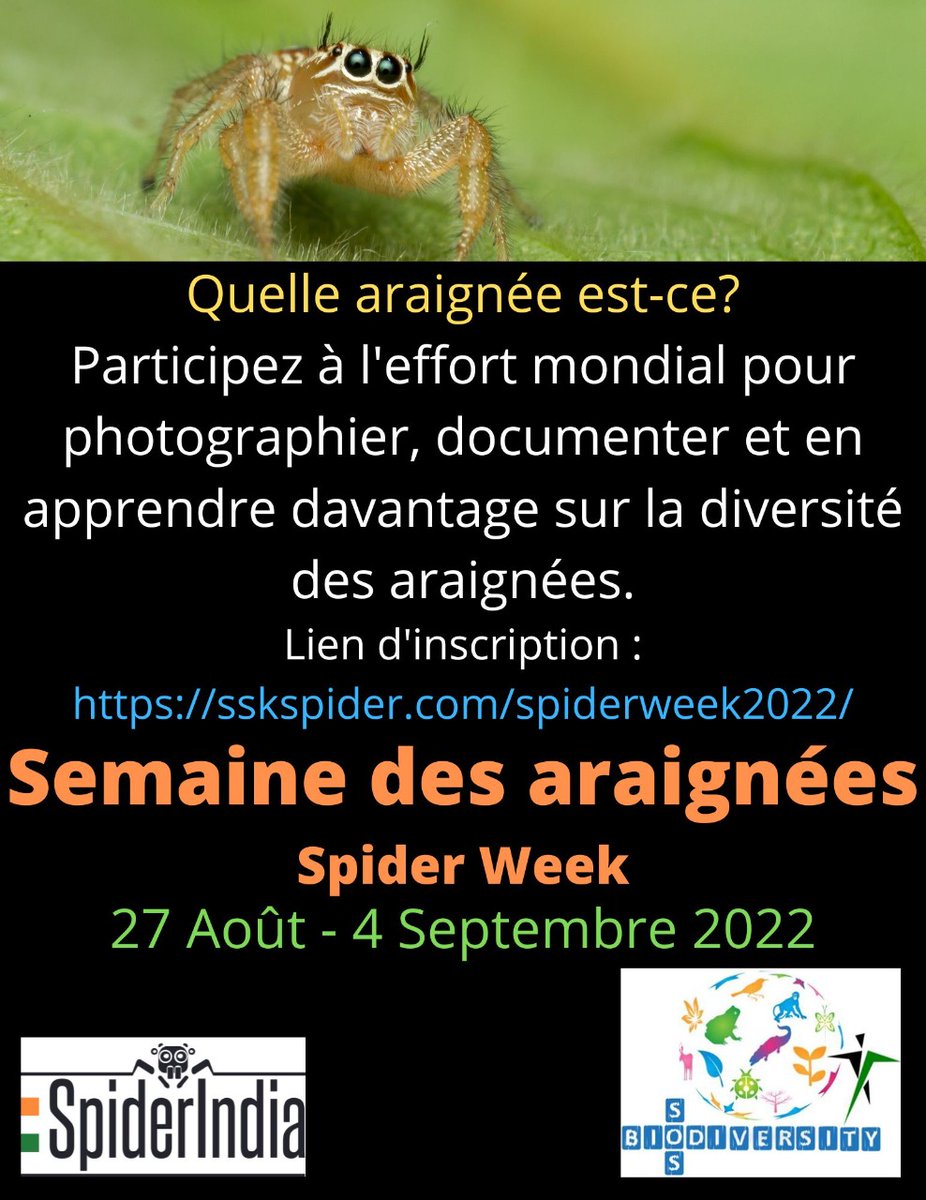 || 𝗦𝗽𝗶𝗱𝗲𝗿 𝗪𝗲𝗲𝗸 ||  

27 Août - 04 Septembre 2022

SOS Biodiversity et SpiderIndia vous invite à photographier les araignées autour de vous et documenter vos observations sur iNaturalist (inaturalist.org).

<a href="/vijaybarve/">Vijay Barve</a>