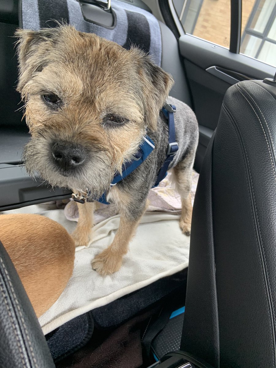 Lord Scrappy Nelson tweet media