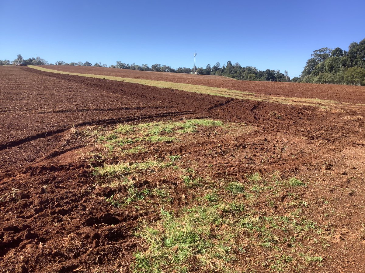 Gregory Ian Teske tweet media