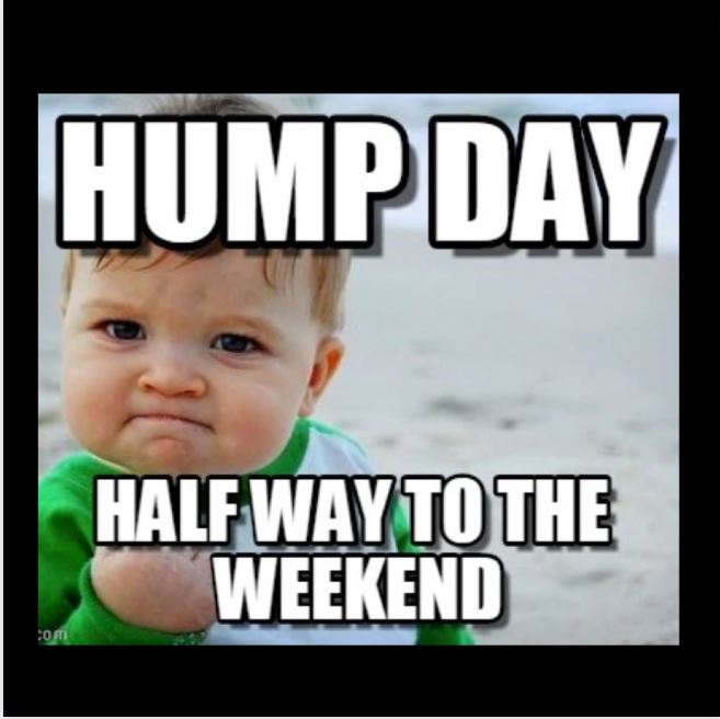 Well it's Wednesday and hopefully any goals you have set for the week are on track to achieve.
Enjoy the day and remember only 2 more full days until weekend.
#Wednesdayvibe #HumpDayVibes #FOCUS