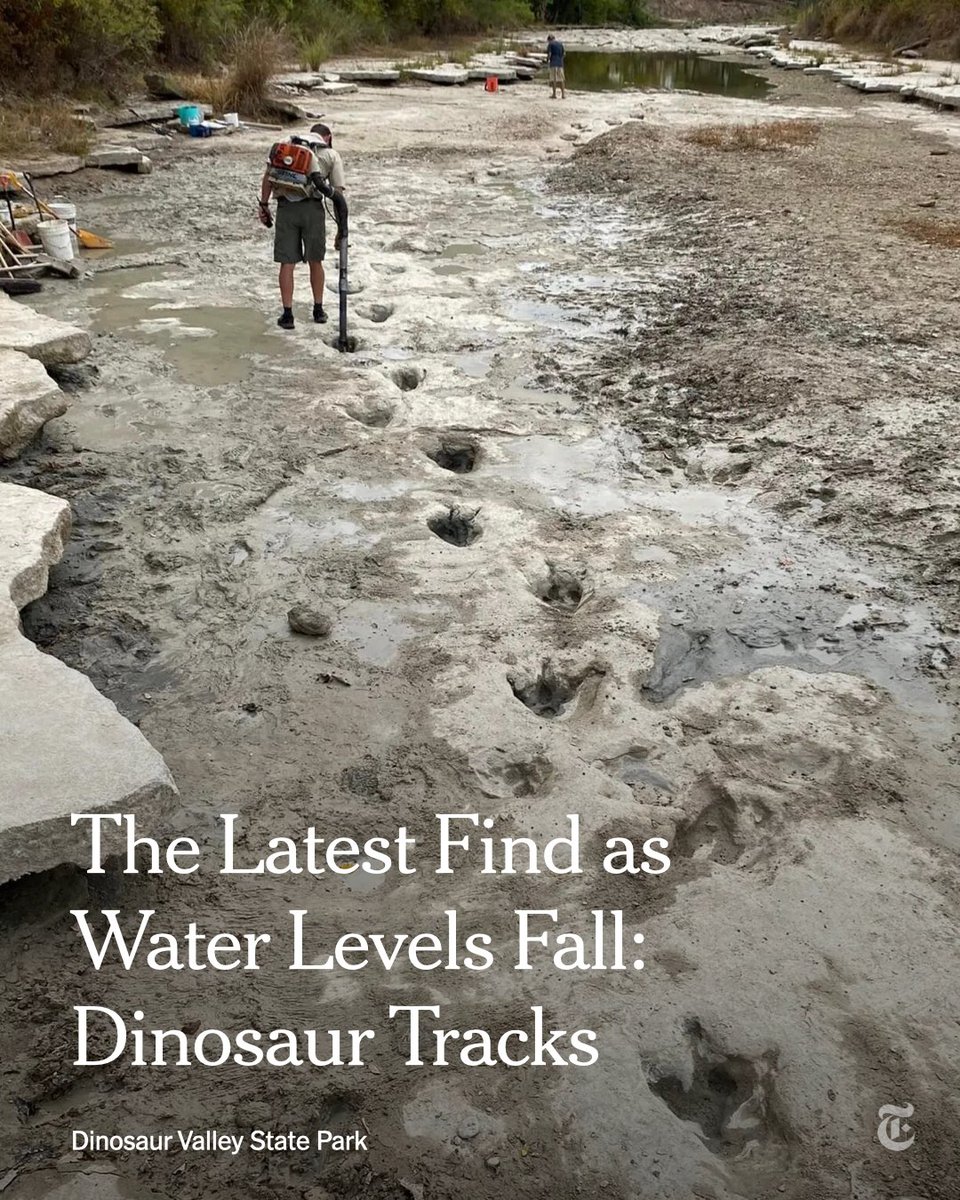 At Dinosaur Valley State Park in Texas, falling water levels have revealed dinosaur tracks — the latest discovery as bodies of water around the world dry up amid a drought.

“They’re spectacular,” one paleontologist said. “You can see the toenails.”
nyti.ms/3T6NDC9