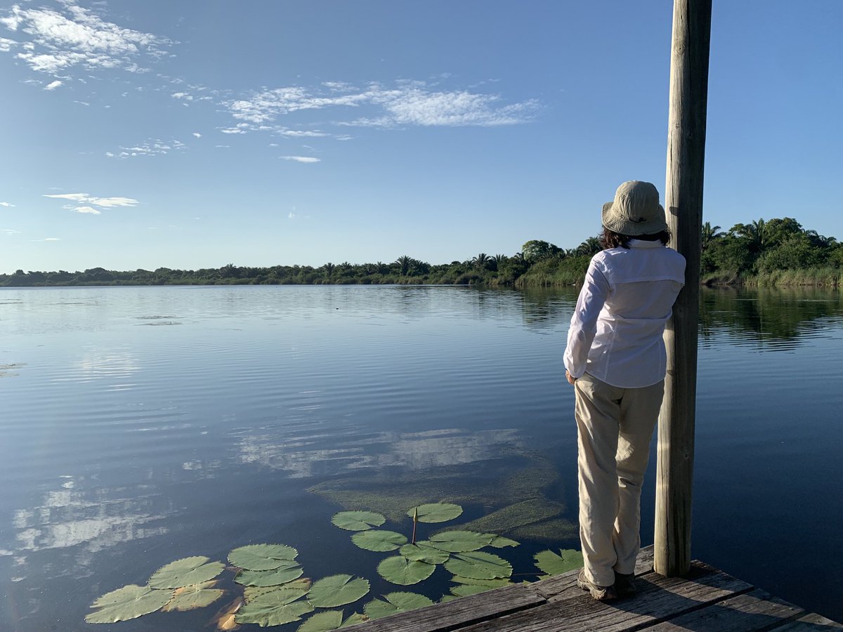 martharojasu1's tweet photo. Nature reserves of civil society play a crucial role for #biodiversity. Fantastic efforts for the conservation and restoration of #dryforests #Wetlands #Mangroves in the Sanguaré reserve 🇨🇴. We need actions from all for an ambitious #post2020 framework #ForNature #COP15 https://t.co/7kRbkBup7B