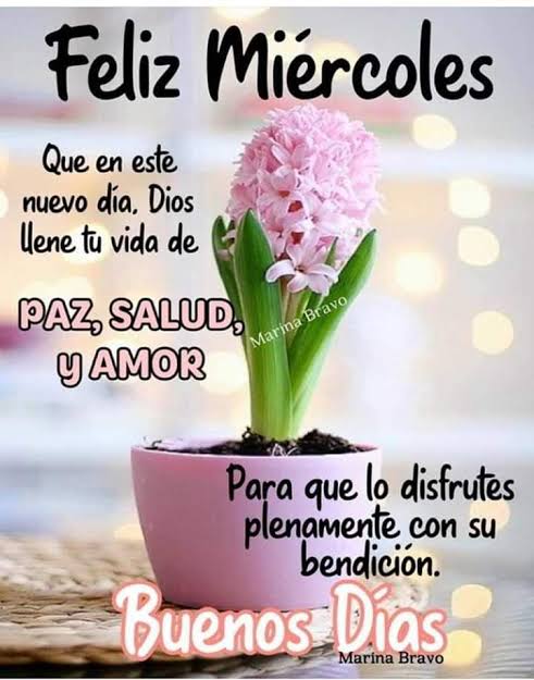 Reyna_riverita's tweet photo. Lindo día para todas https://t.co/hsr7mQnjR1