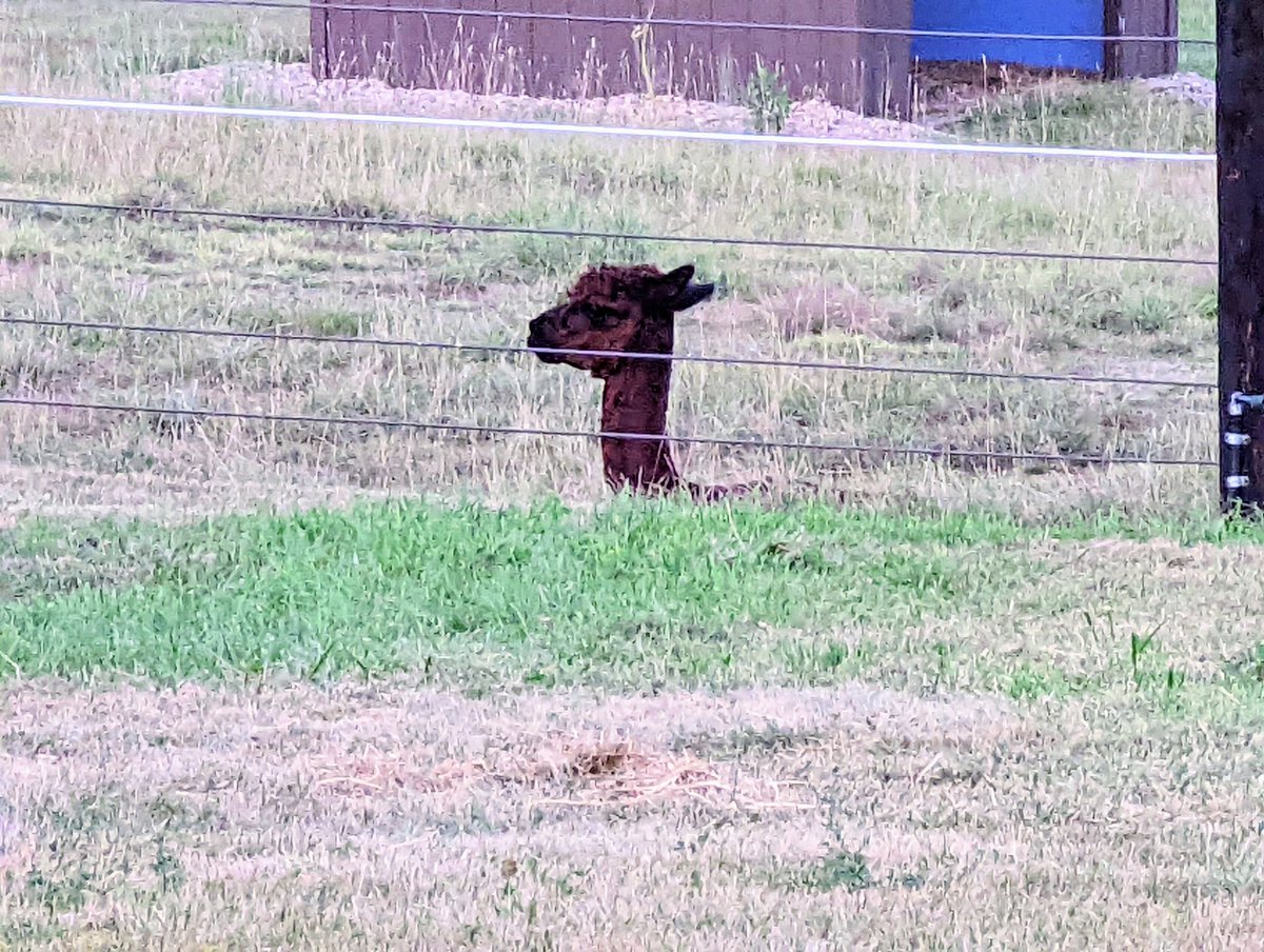 DocBohn's tweet image. Good morning