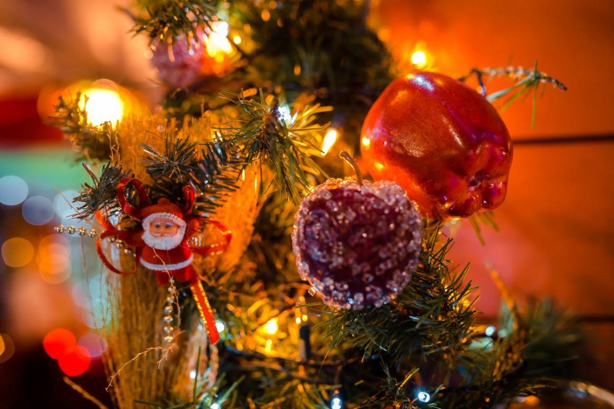 SNatalinas's tweet photo. Meu #Vermelho é o #Natal!  #GostoDeVermelho #MeuVermelhoÉoNatal 
Segue daí, @eliselorena https://t.co/kcnea3CLsl