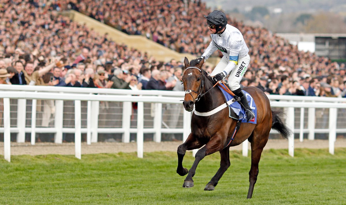 RacingGav tweet media