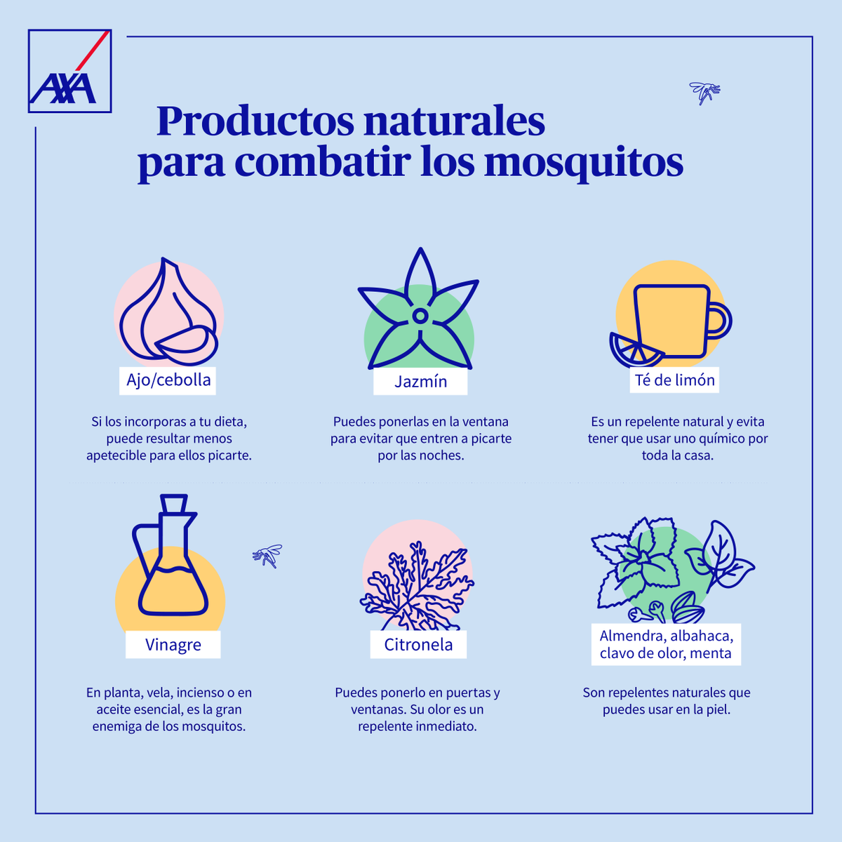 luis_axa's tweet photo. De las pocas cosas que no nos gusta del verano: los mosquitos 🦟 Toma nota de estos consejos con productos que todos tenemos en casa para combatirlos. De nada 😎 https://t.co/O56PnKBBc0