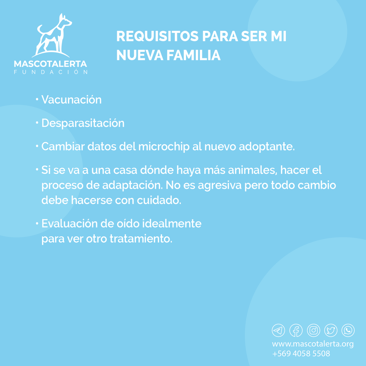 NENE BUSCA FAMILIA 🏠🐶🐕🐾 – MA-007/2022:

📌 San Joaquín (Santiago)

Hembra Mestiza de 3 años, esterilizada con Microchip, vacunas pendientes

⚠️ Soy una perrita muy tranquila y tierna que está buscando un hogar donde me cuiden

<a href="/munisanjoaquin/">Ilustre Municipalidad de San Joaquín</a> @TenenciaRespGob