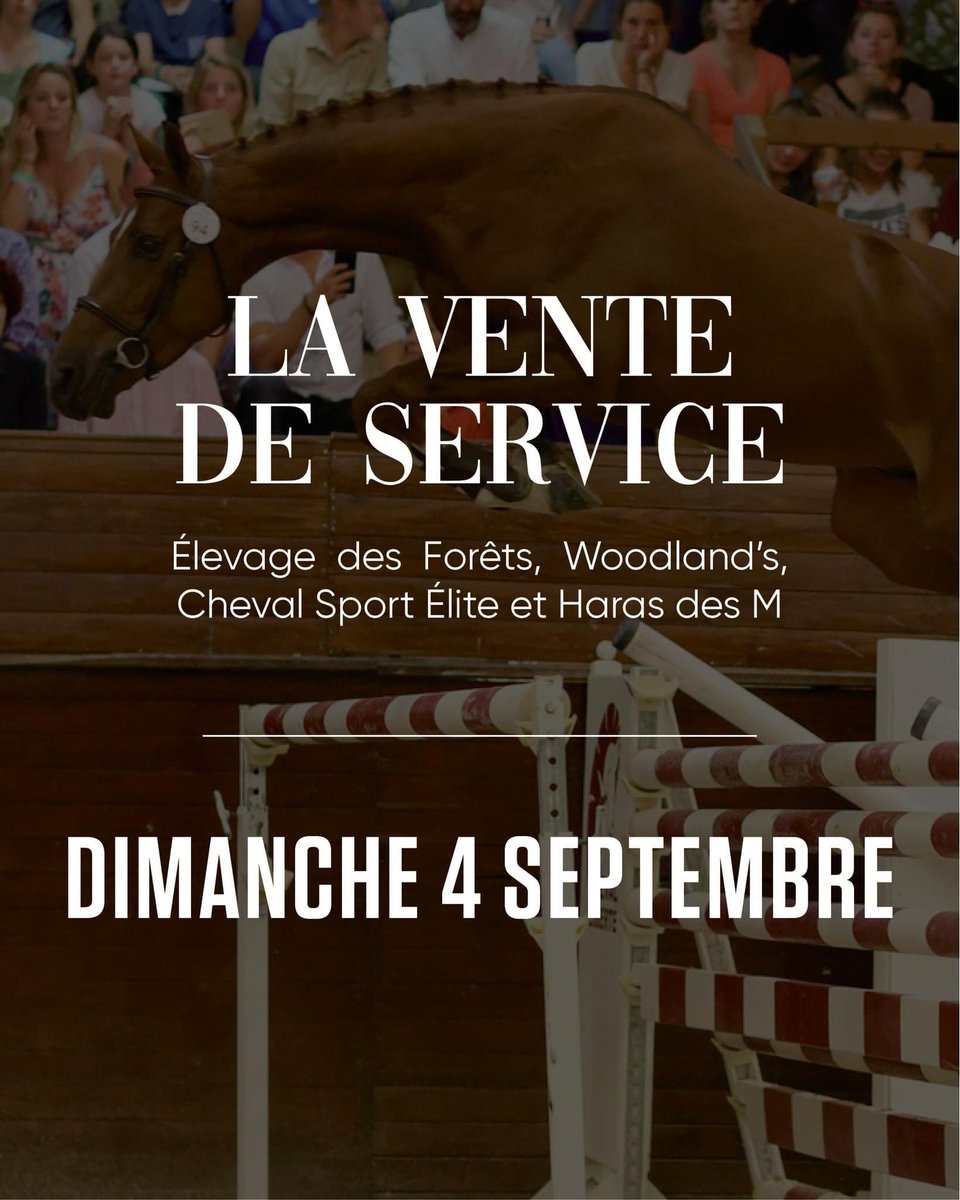 Cheval Sport Élite tweet media