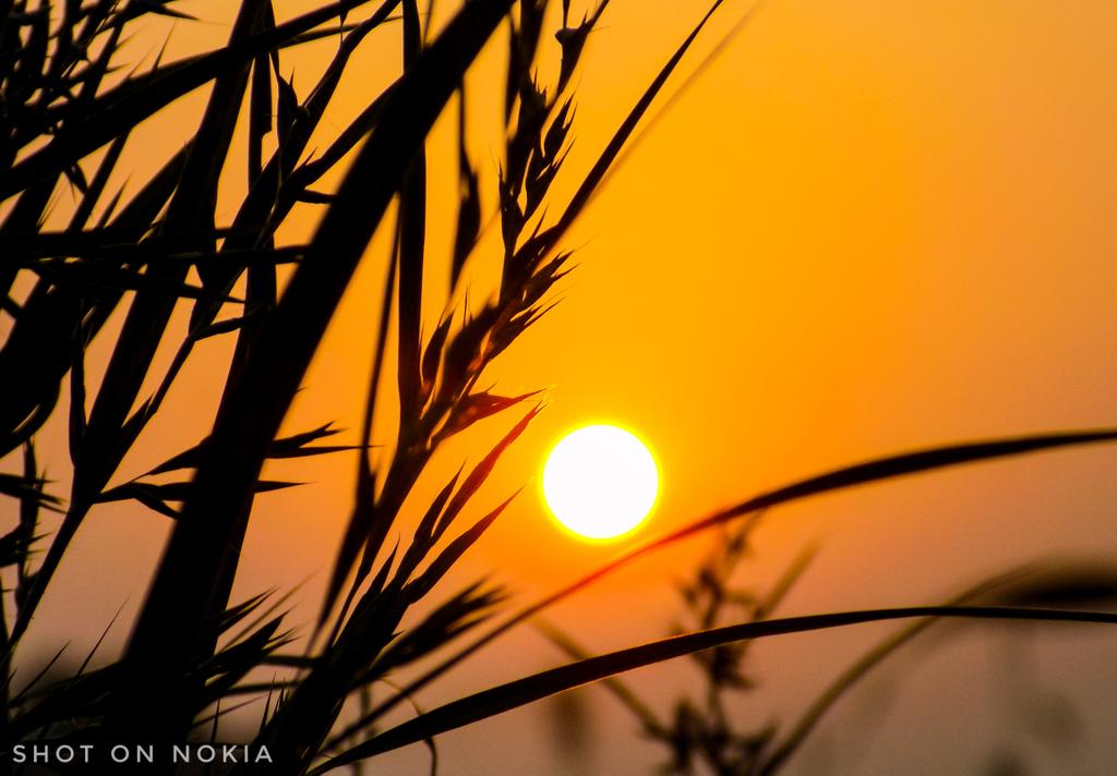 shivakaluse's tweet photo. A classy #sunriseoftheday
#ShotOnNokia #nokia8_1
@NokiaMobile
@NokiamobileIN
@MyNokiaOfficial https://t.co/xvxM6qXkfo