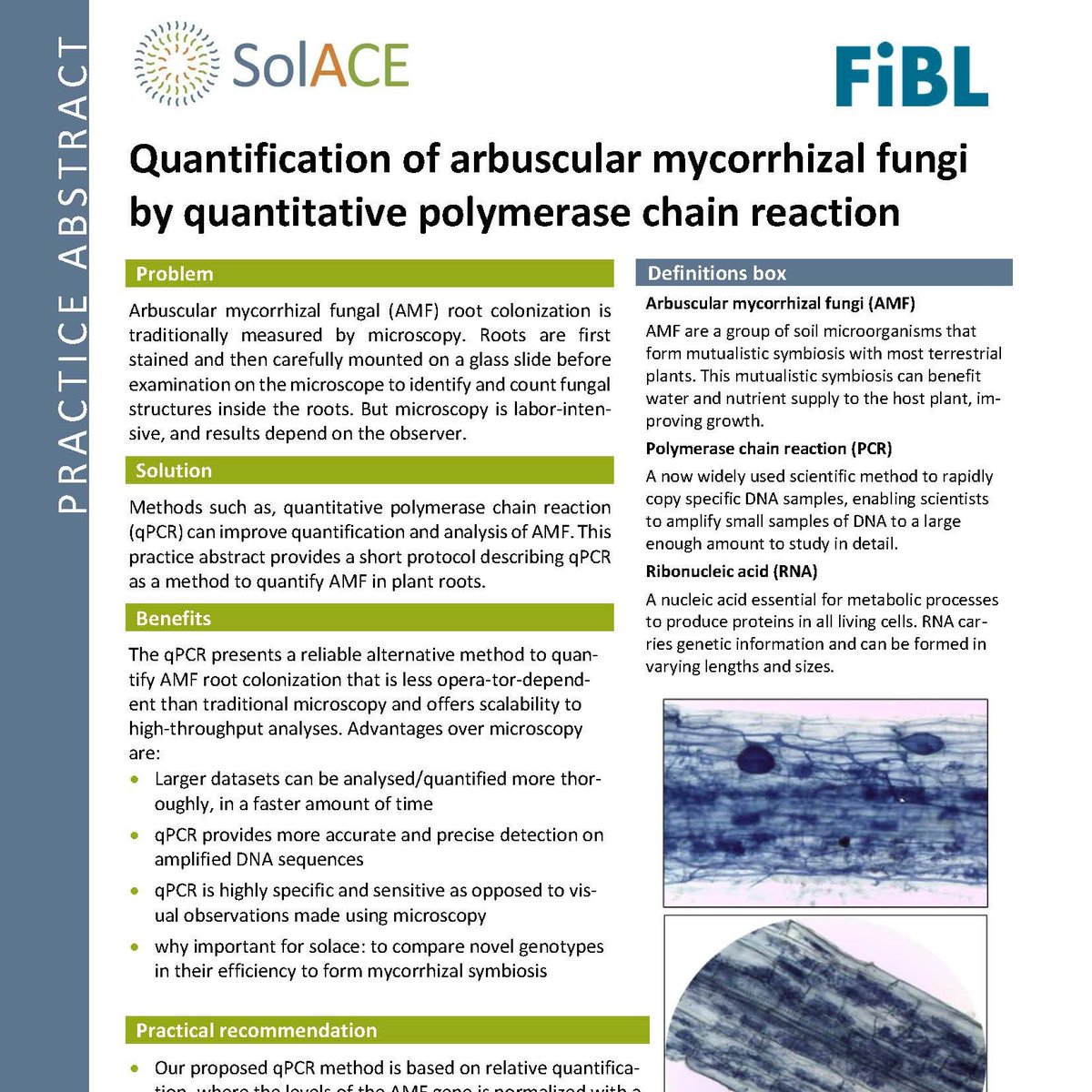 This practice abstract provides a short protocol describing "quantitative polymerase chain reaction" as a method to quantify Arbuscular #mycorrhizal fungal in plant roots.

▶ More about this faster, more accurate and highly specific method:
zenodo.org/record/6873877
