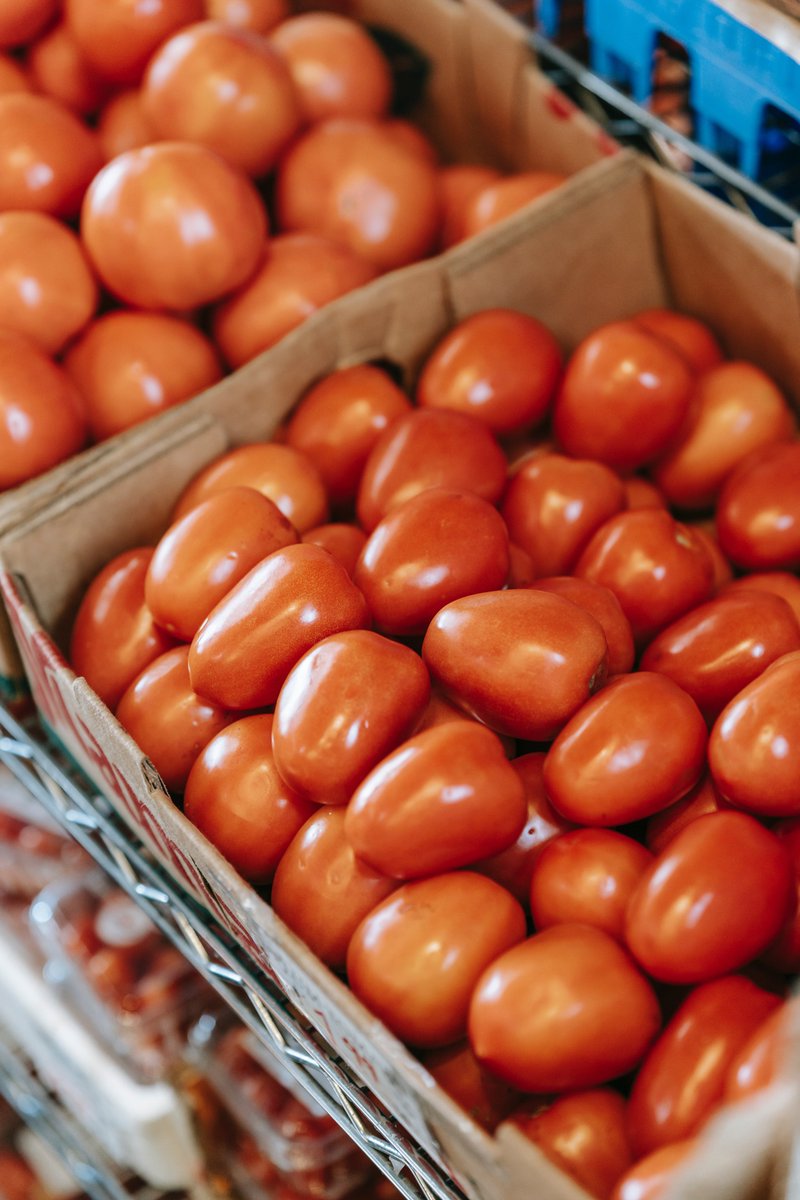 Finales de agosto es la mejor época para embotar el tomate. Te recomendamos que sea #ecológico. ¿Qué forma eliges tú?
🍅 Conserva de tomate triturado
🍅 Conserva de tomates pelados enteros
🍅 Conserva de salsas de tomate
🍅 Mermelada de tomate
#CuidamosNuestraTierra #CuidamosDeTi