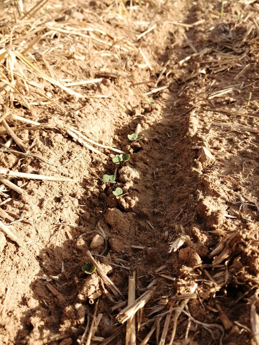 GDA de Chatillon-Coligny tweet media