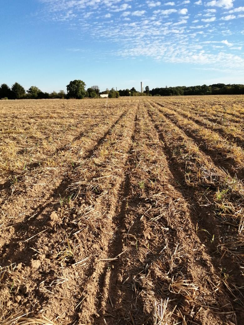 Semis J+7 sur l'essai fertilisation alternative. Semis dans le bon #tempo.
#ADAREL2023 #ceuxquifontlesessais
#cumaduronceau