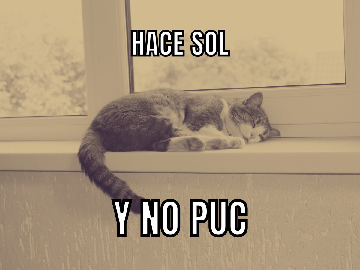 Dame FAV si sientes lo que siento, buenos días.